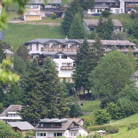 Todnauerberg Hotel Im Schwarzwald Todtnauberg Luaran gambar