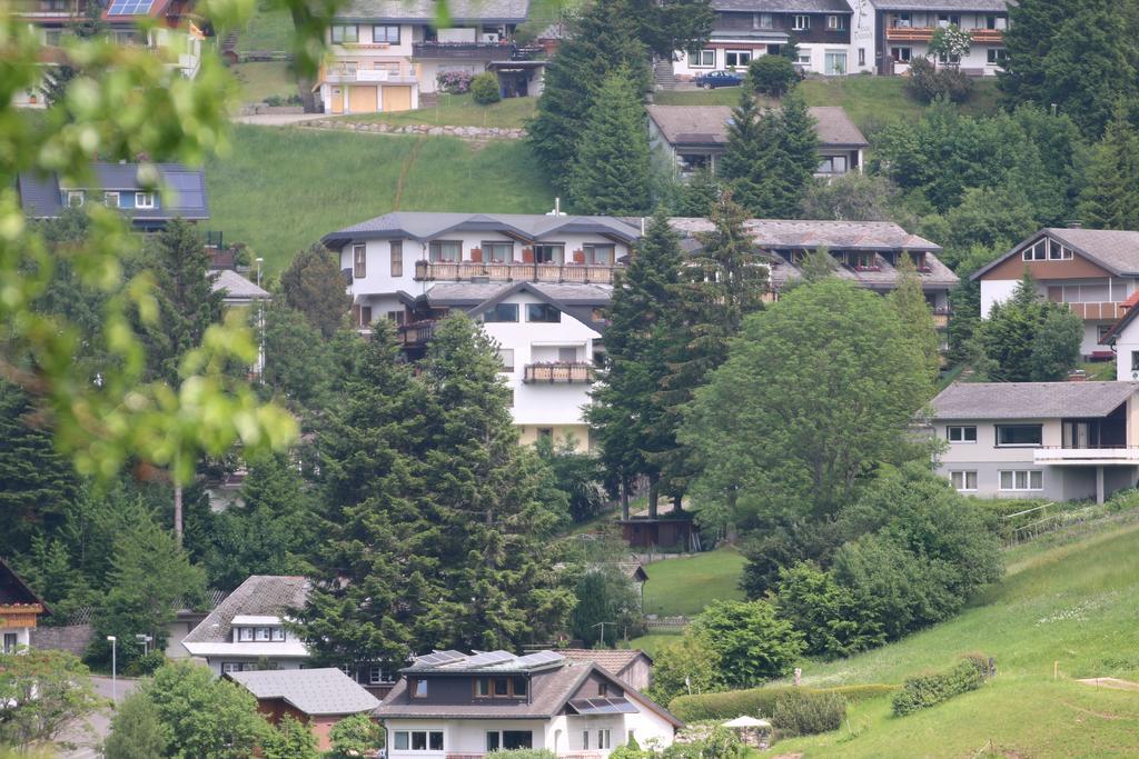 Todnauerberg Hotel Im Schwarzwald Todtnauberg Luaran gambar
