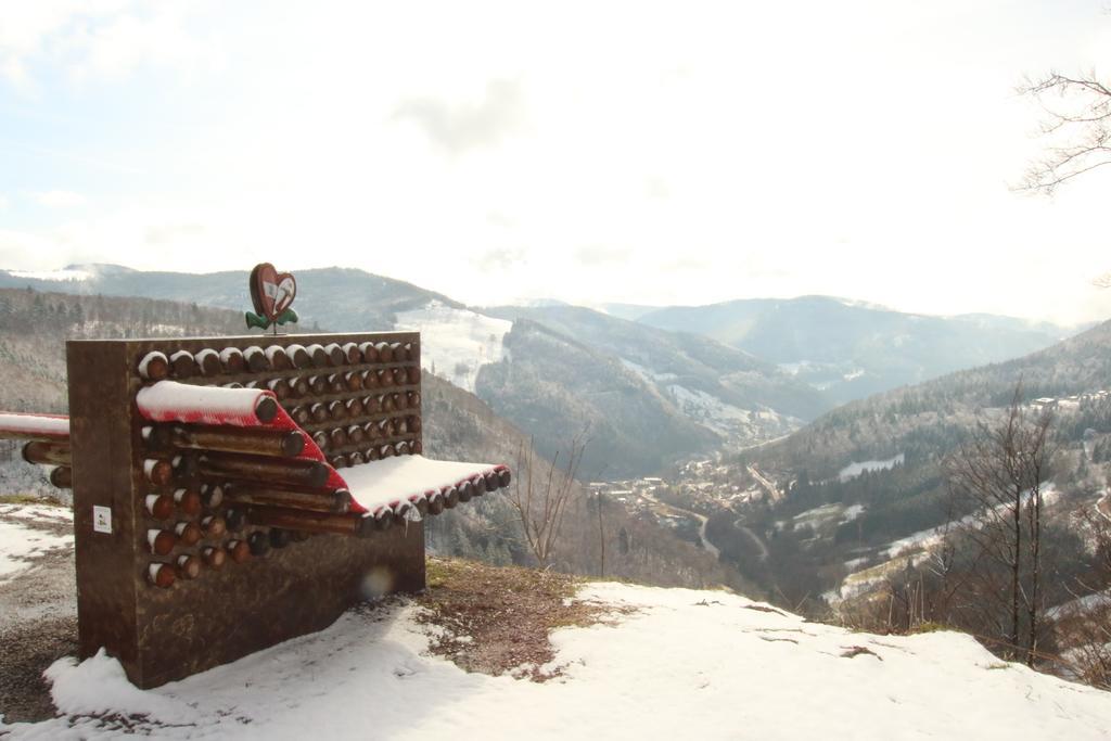 Todnauerberg Hotel Im Schwarzwald Todtnauberg Luaran gambar