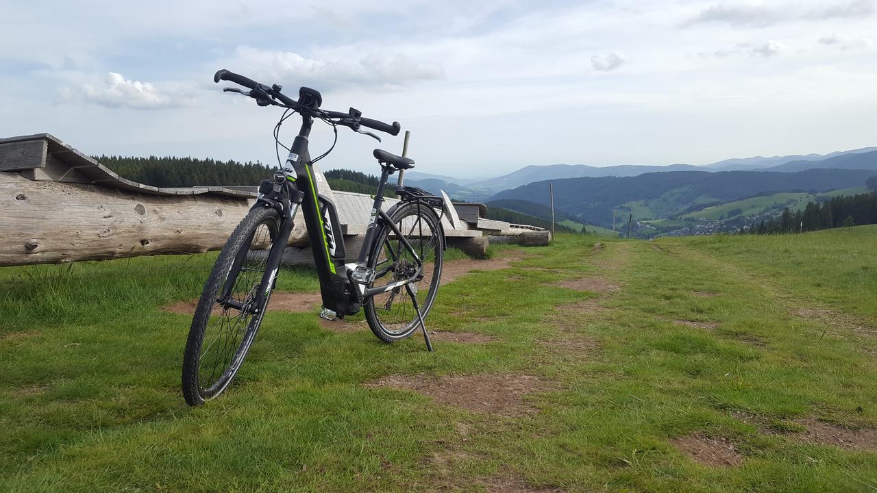 Todnauerberg Hotel Im Schwarzwald Todtnauberg Luaran gambar